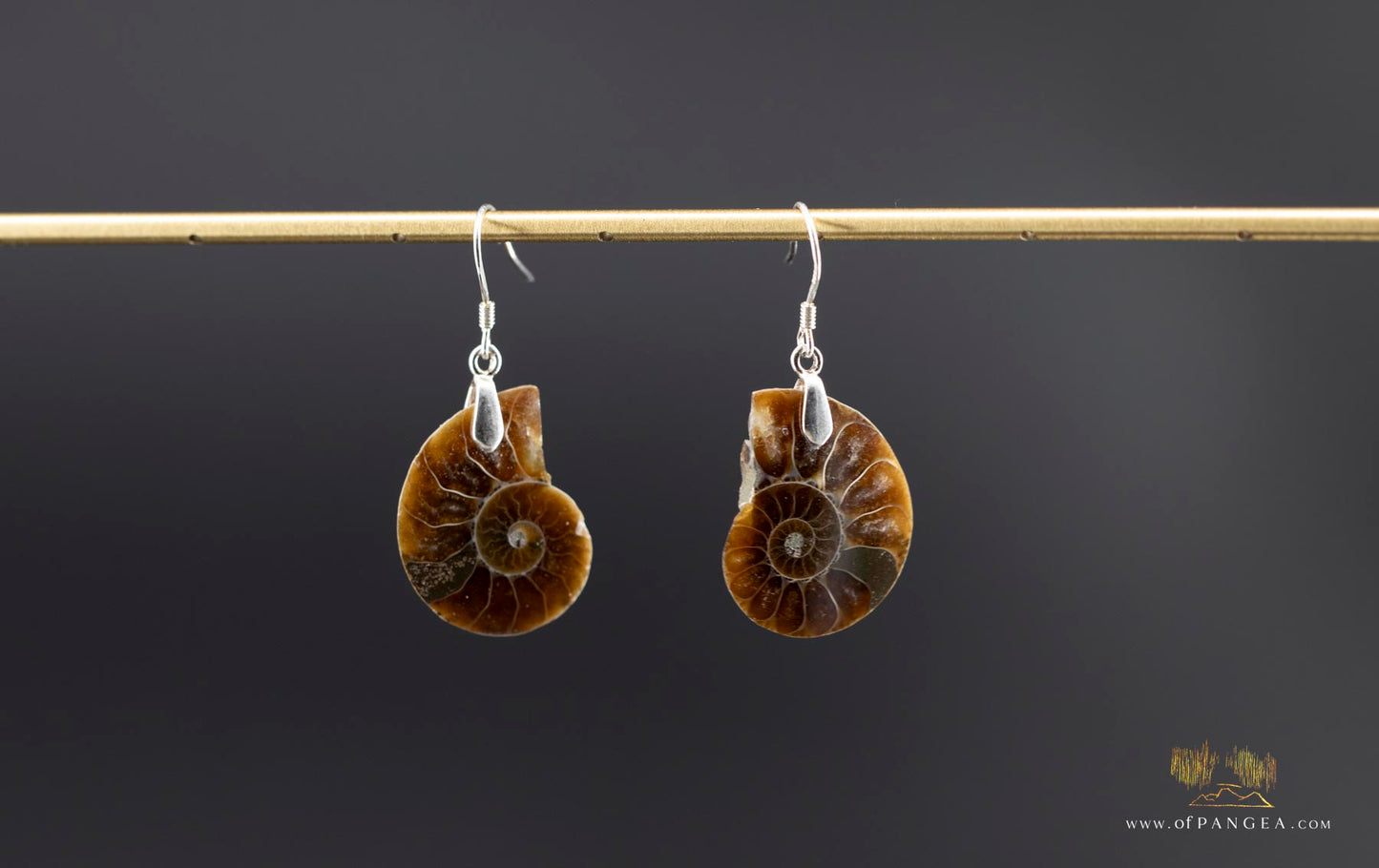 Per-mineralized Ammonite Half Earrings - sterling silver