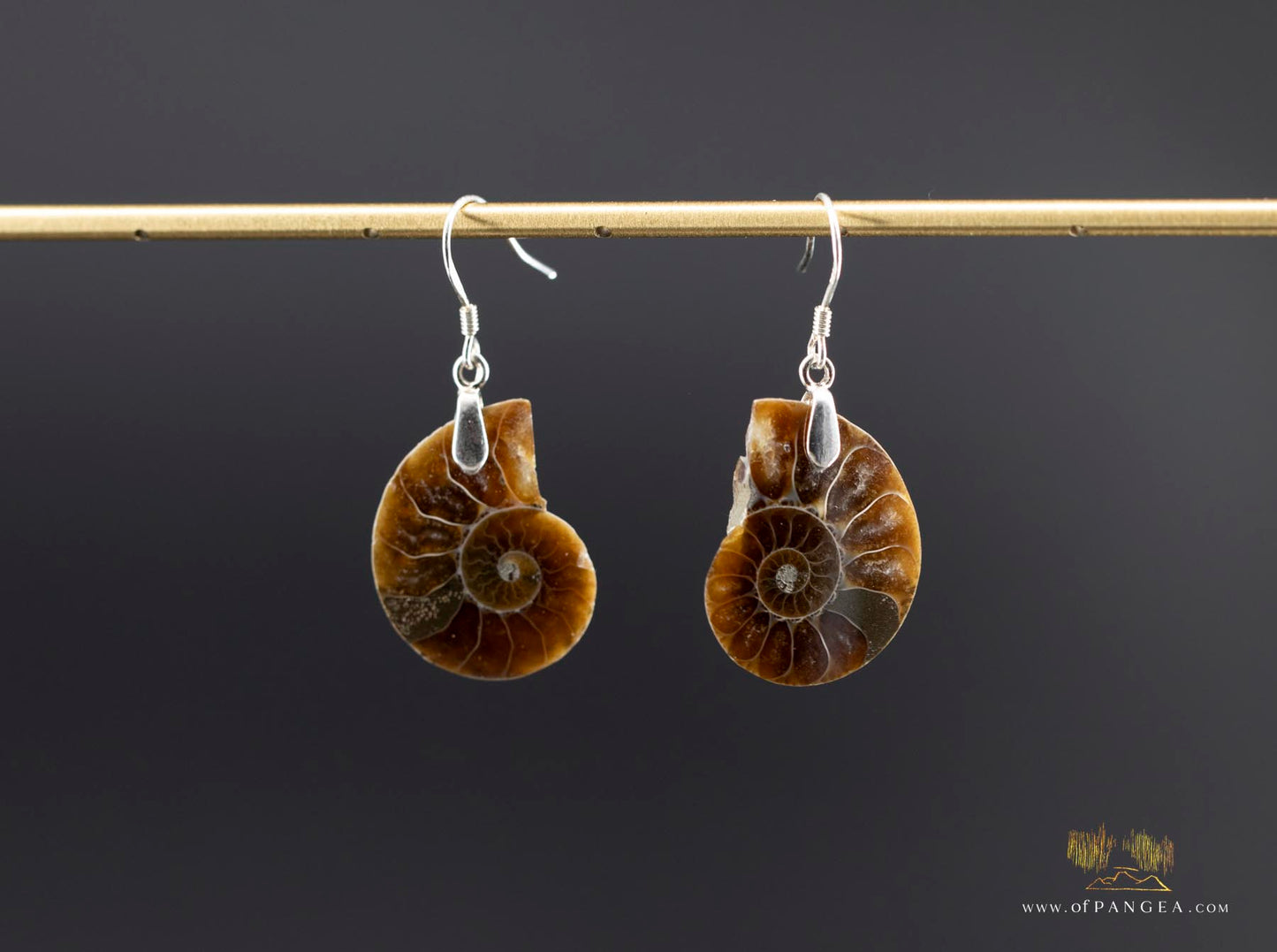 Per-mineralized Ammonite Half Earrings - sterling silver