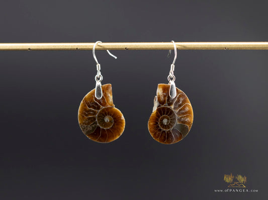 Per-mineralized Ammonite Half Earrings - sterling silver