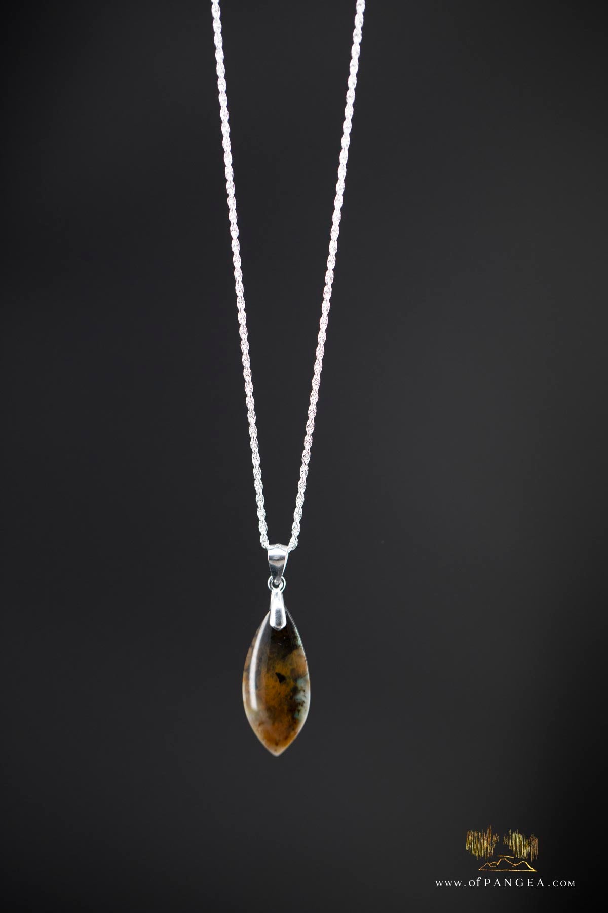 Opalized Petrified Wood Drop Pendant & 18inch Italian .925 sterling silver rope chain (1.35mm) || JF661