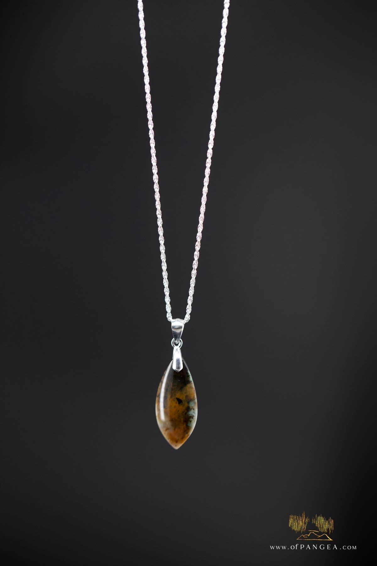 Opalized Petrified Wood Drop Pendant & 18inch Italian .925 sterling silver rope chain (1.35mm) || JF661