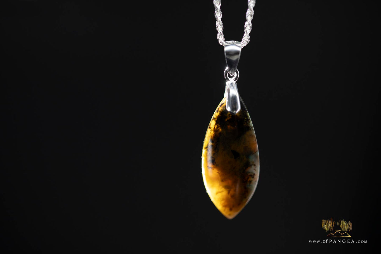 Opalized Petrified Wood Drop Pendant & 18inch Italian .925 sterling silver rope chain (1.35mm) || JF661
