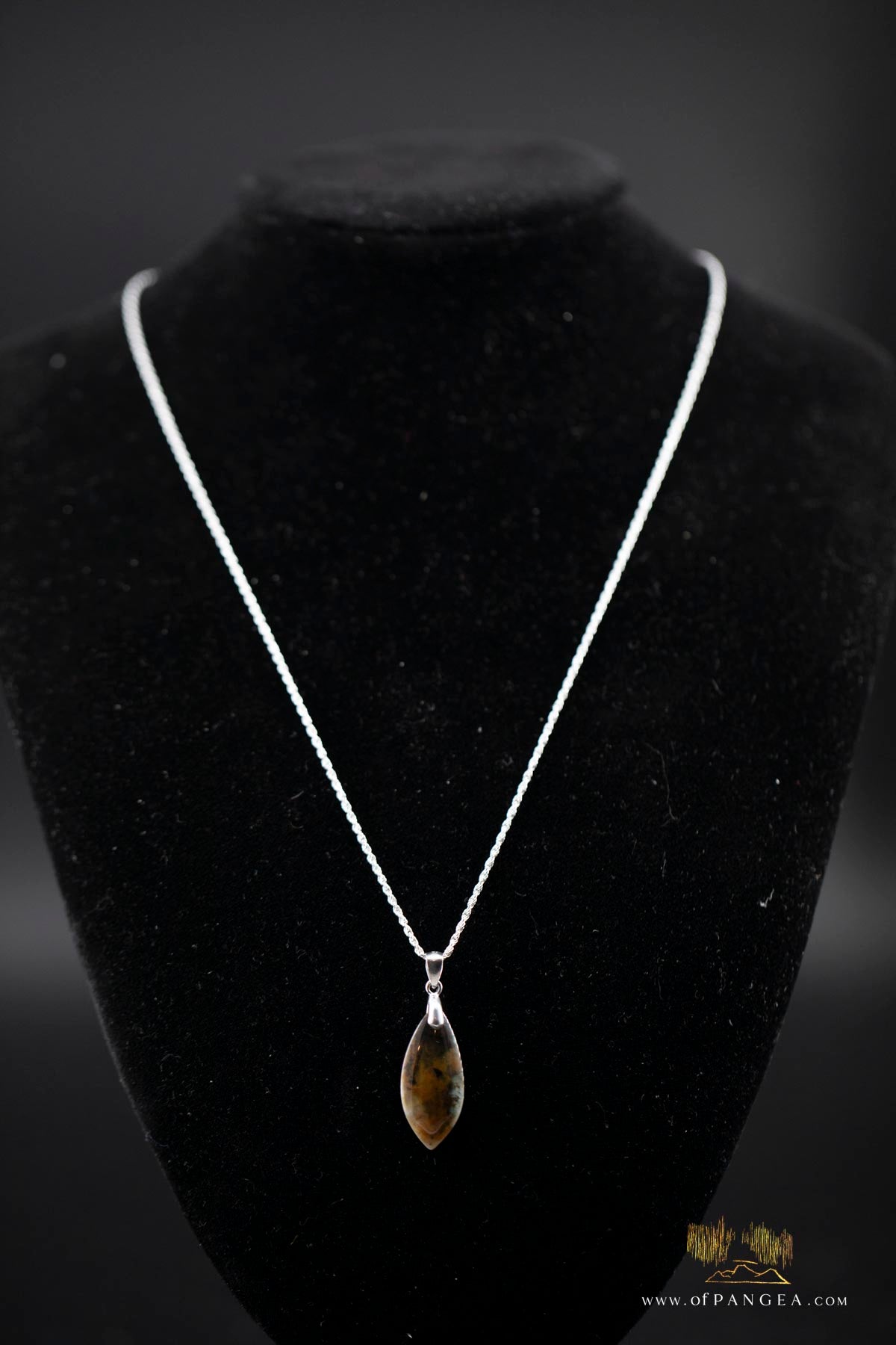 Opalized Petrified Wood Drop Pendant & 18inch Italian .925 sterling silver rope chain (1.35mm) || JF661