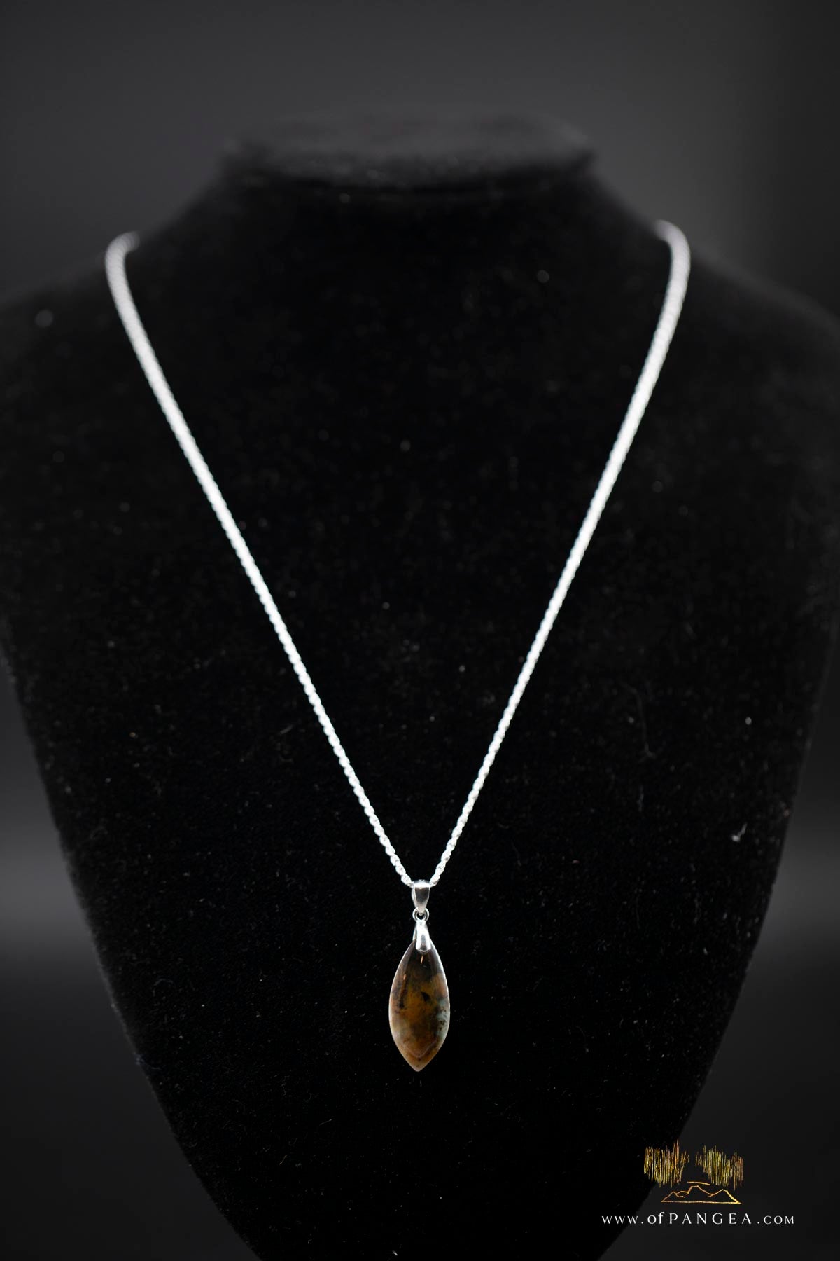 Opalized Petrified Wood Drop Pendant & 18inch Italian .925 sterling silver rope chain (1.35mm) || JF661