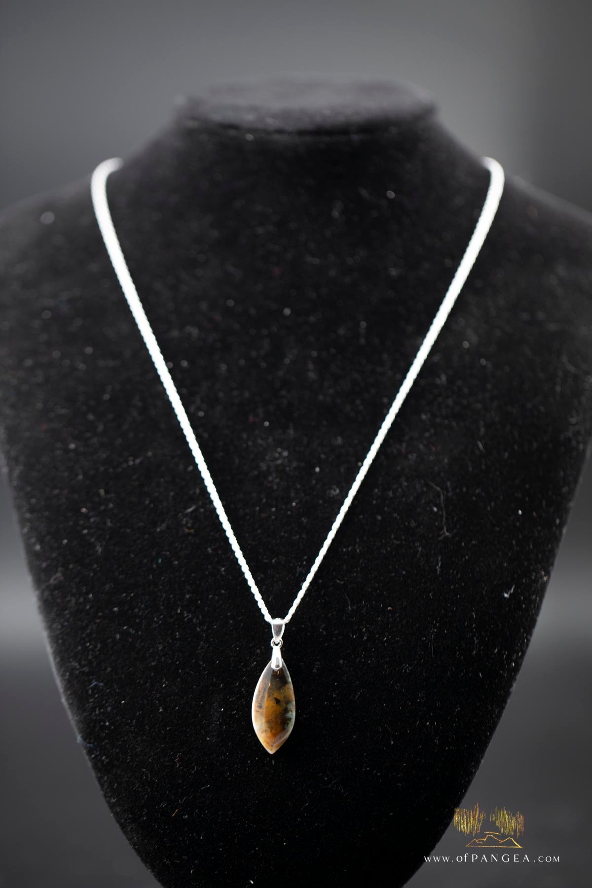 Opalized Petrified Wood Drop Pendant & 18inch Italian .925 sterling silver rope chain (1.35mm) || JF661
