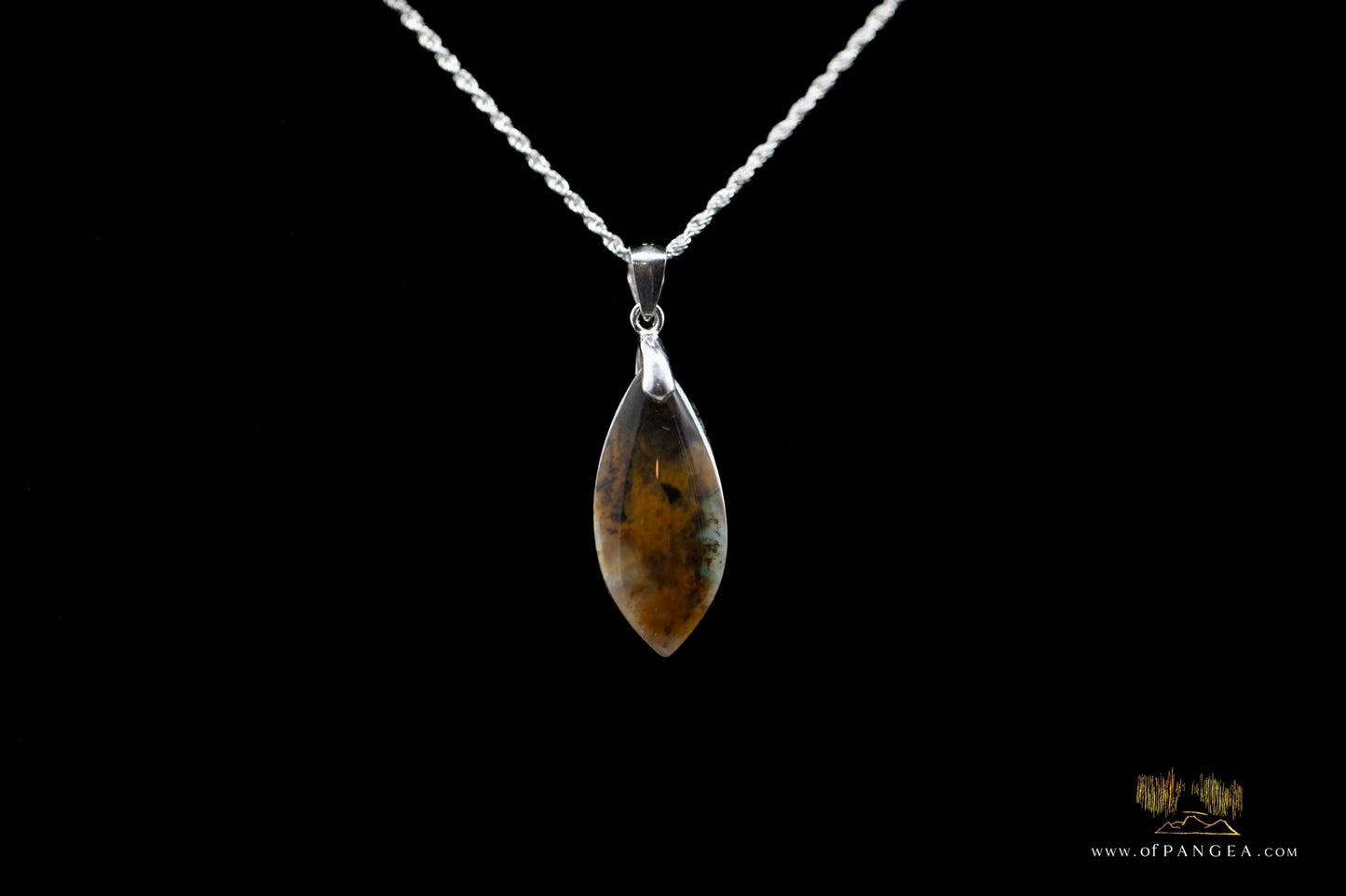 Opalized Petrified Wood Drop Pendant & 18inch Italian .925 sterling silver rope chain (1.35mm) || JF661