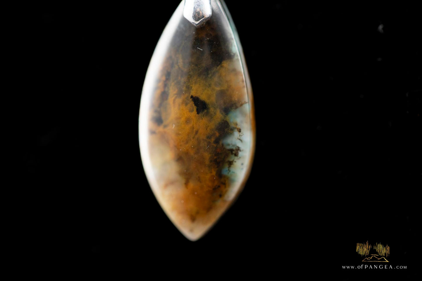 Opalized Petrified Wood Drop Pendant & 18inch Italian .925 sterling silver rope chain (1.35mm) || JF661