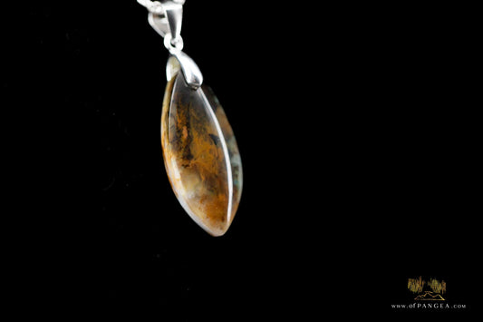 Opalized Petrified Wood Drop Pendant & 18inch Italian .925 sterling silver rope chain (1.35mm) || JF661