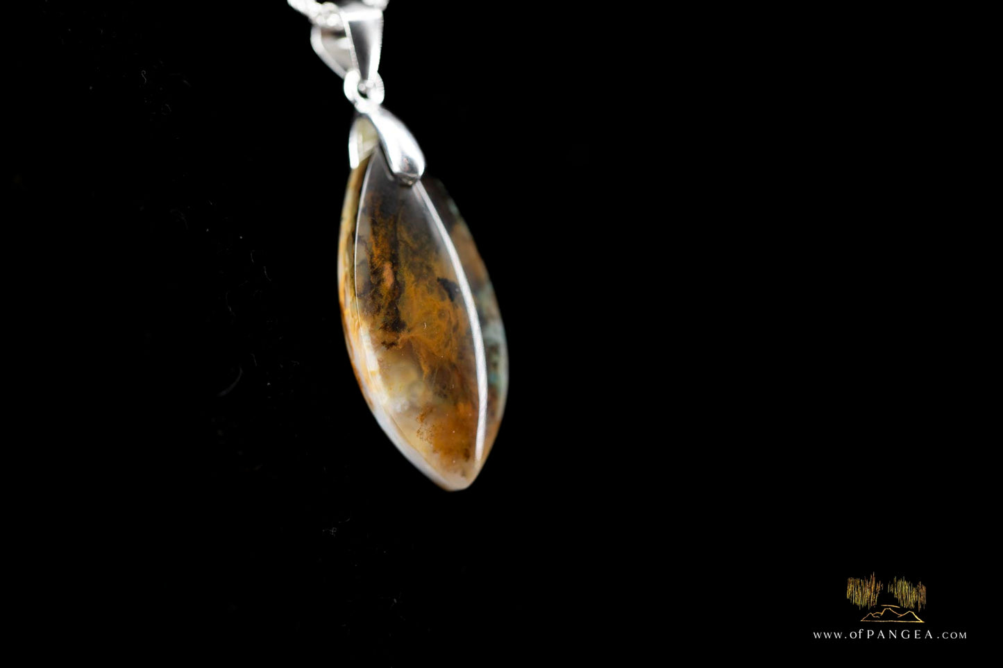 Opalized Petrified Wood Drop Pendant & 18inch Italian .925 sterling silver rope chain (1.35mm) || JF661