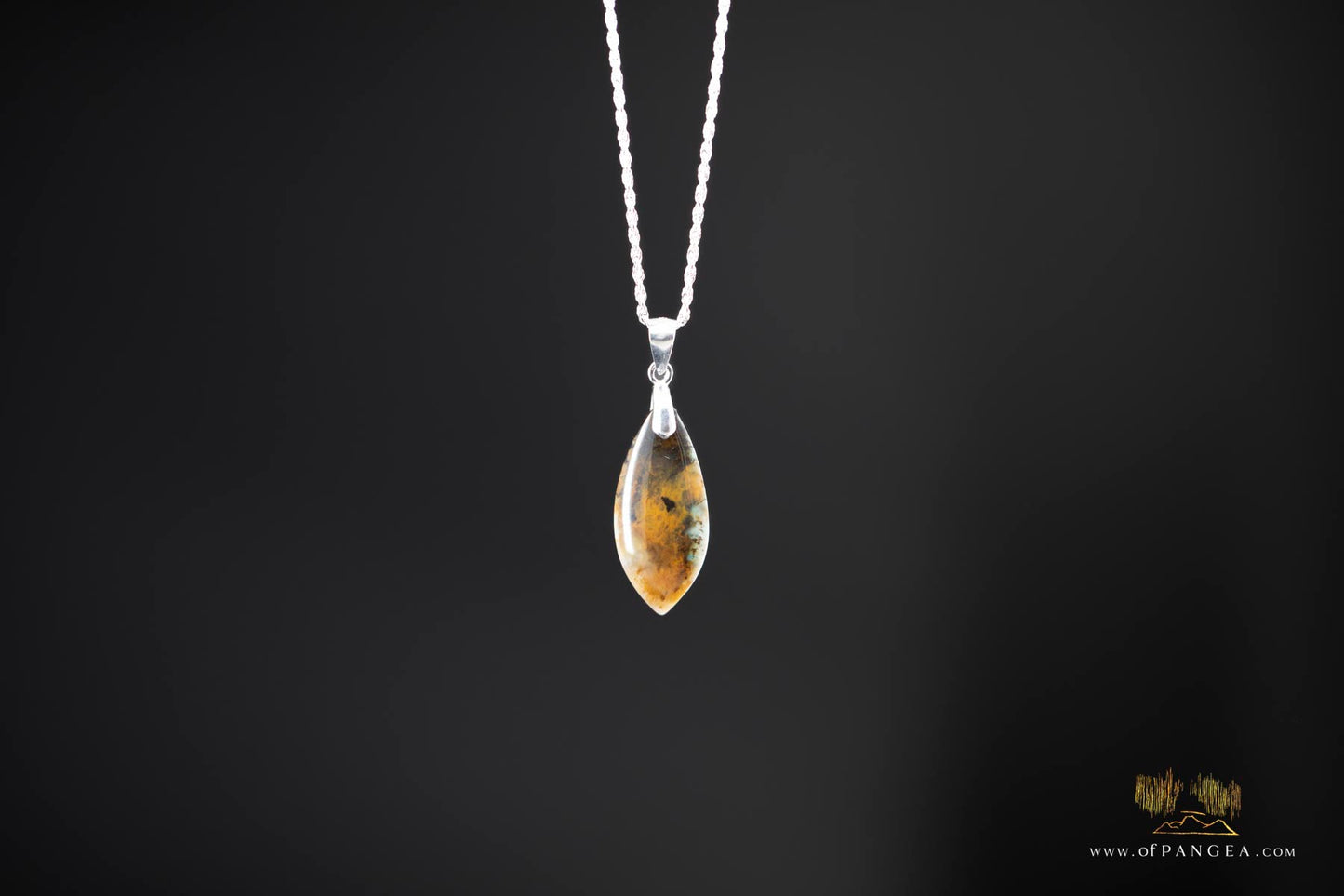 Opalized Petrified Wood Drop Pendant & 18inch Italian .925 sterling silver rope chain (1.35mm) || JF661