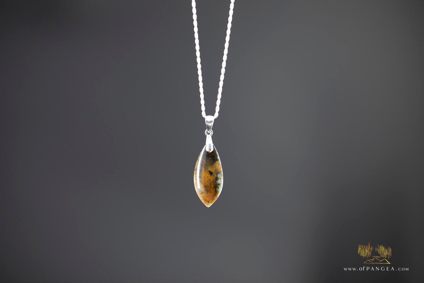Opalized Petrified Wood Drop Pendant & 18inch Italian .925 sterling silver rope chain (1.35mm) || JF661