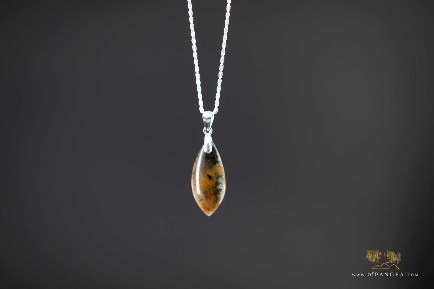 Opalized Petrified Wood Drop Pendant & 18inch Italian .925 sterling silver rope chain (1.35mm) || JF661