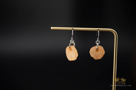 Neolithic bead earrings - 4,000 - 7,000 years old || Sahara Desert || sterling silver || JF662