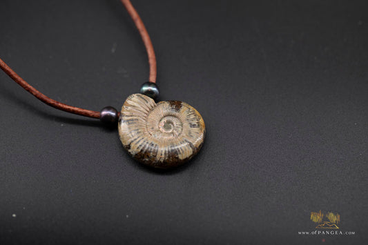 Opalized Ammonite Spiral Shell fossil - AAA Peacock Pearls - italian leather necklace || JF684