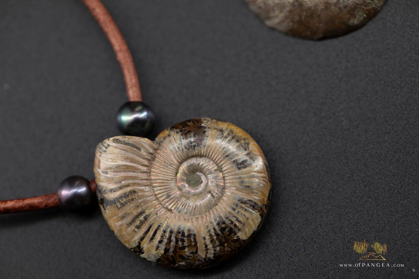 Opalized Ammonite Spiral Shell fossil - AAA Peacock Pearls - italian leather necklace || JF684