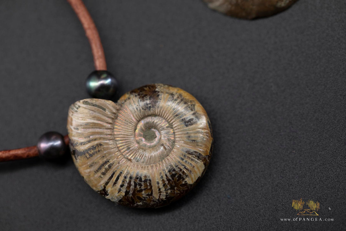 Opalized Ammonite Spiral Shell fossil - AAA Peacock Pearls - italian leather necklace || JF684