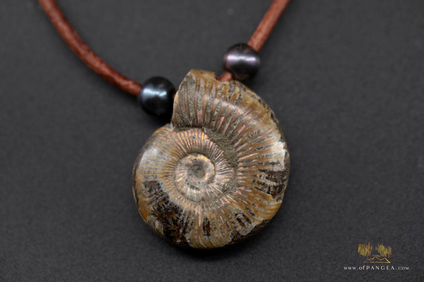 Opalized Ammonite Spiral Shell fossil - AAA Peacock Pearls - italian leather necklace || JF684