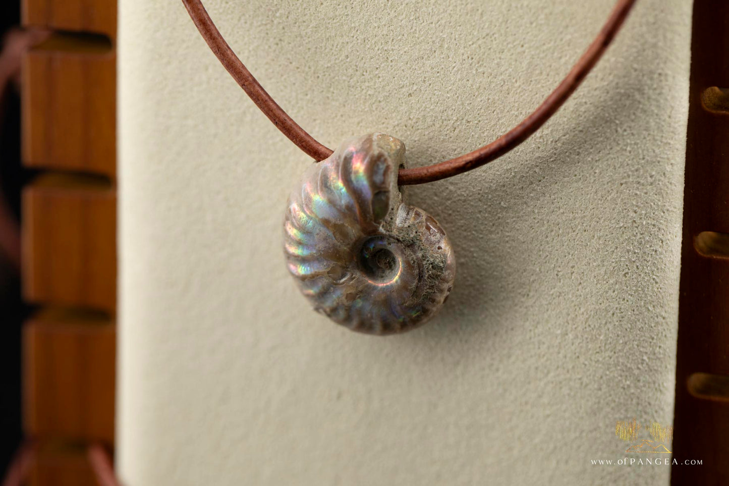 Opalized Ammonite Spiral Shell fossil - italian leather necklace || JF686