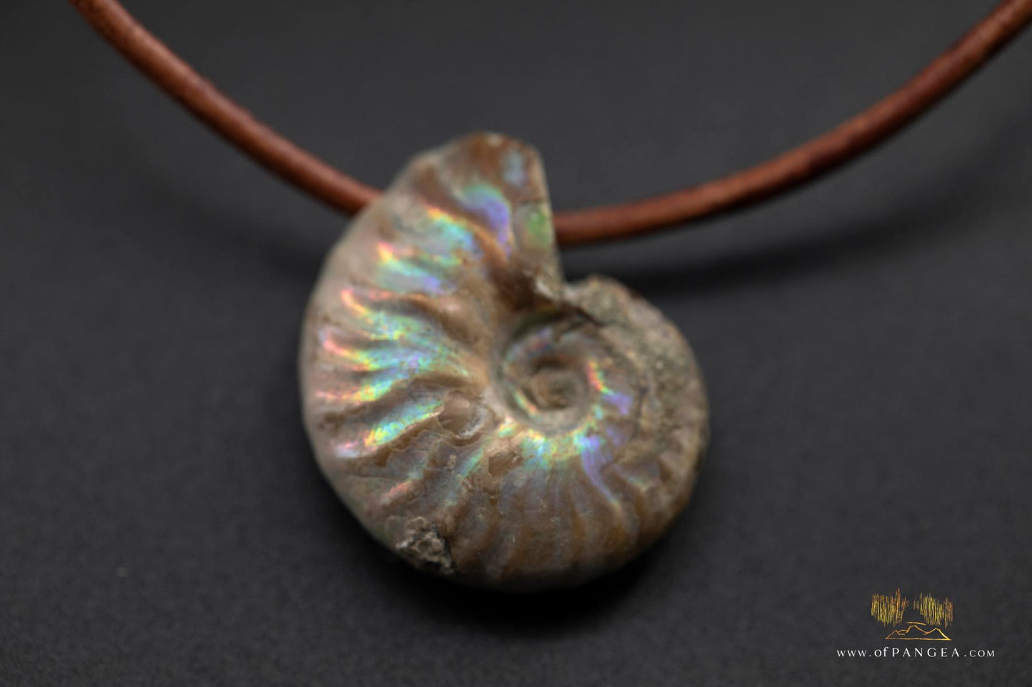 Opalized Ammonite Spiral Shell fossil - italian leather necklace || JF686
