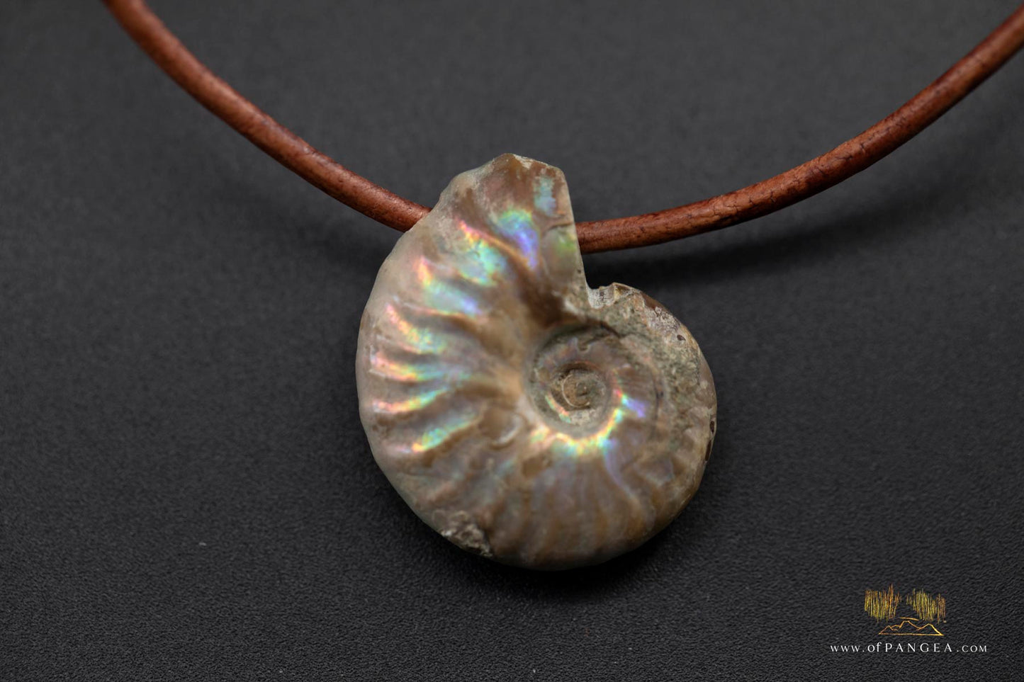 Opalized Ammonite Spiral Shell fossil - italian leather necklace || JF686