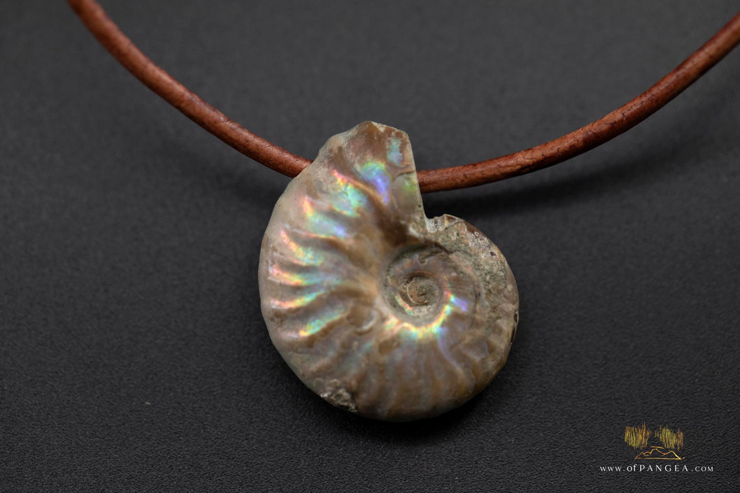 Opalized Ammonite Spiral Shell fossil - italian leather necklace || JF686