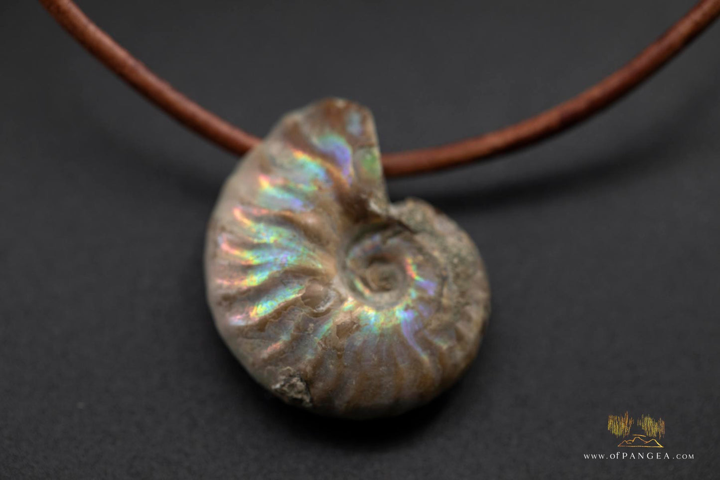 Opalized Ammonite Spiral Shell fossil - italian leather necklace || JF686