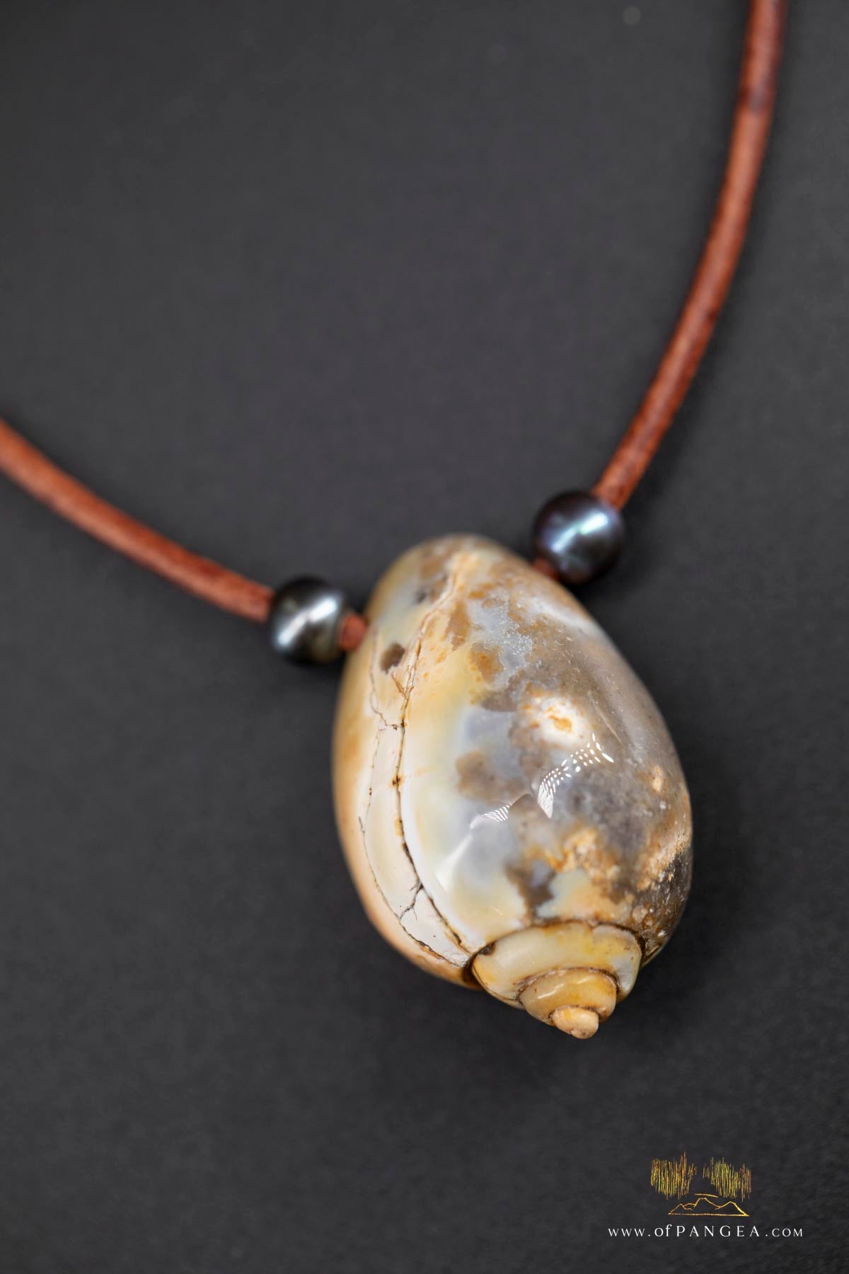 Agatized Spiral Shell fossil and AAA Peacock Pearl - italian leather necklace || JF687