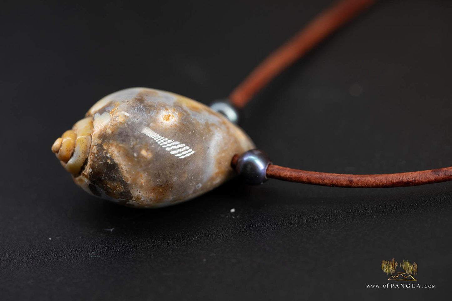 Agatized Spiral Shell fossil and AAA Peacock Pearl - italian leather necklace || JF687