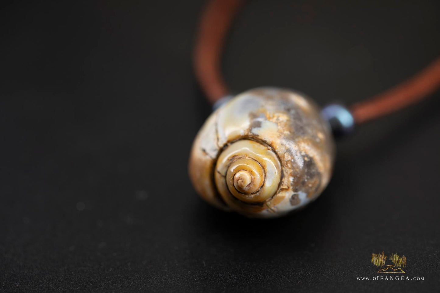 Agatized Spiral Shell fossil and AAA Peacock Pearl - italian leather necklace || JF687