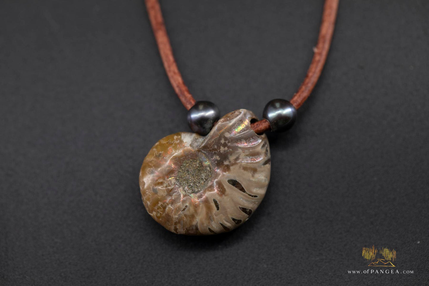 Opalized Ammonite Spiral Shell fossil - AAA Peacock Pearls - italian leather necklace || JF688