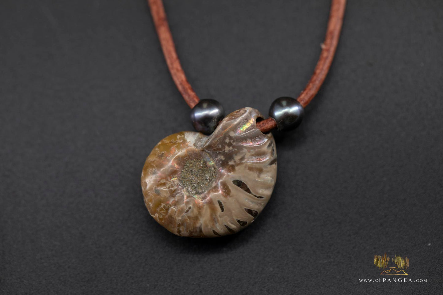Opalized Ammonite Spiral Shell fossil - AAA Peacock Pearls - italian leather necklace || JF688