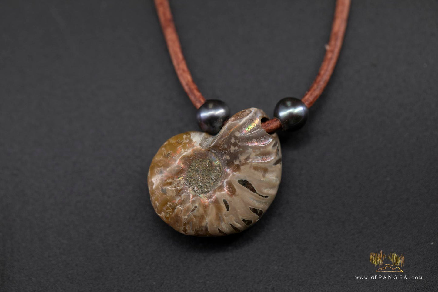 Opalized Ammonite Spiral Shell fossil - AAA Peacock Pearls - italian leather necklace || JF688