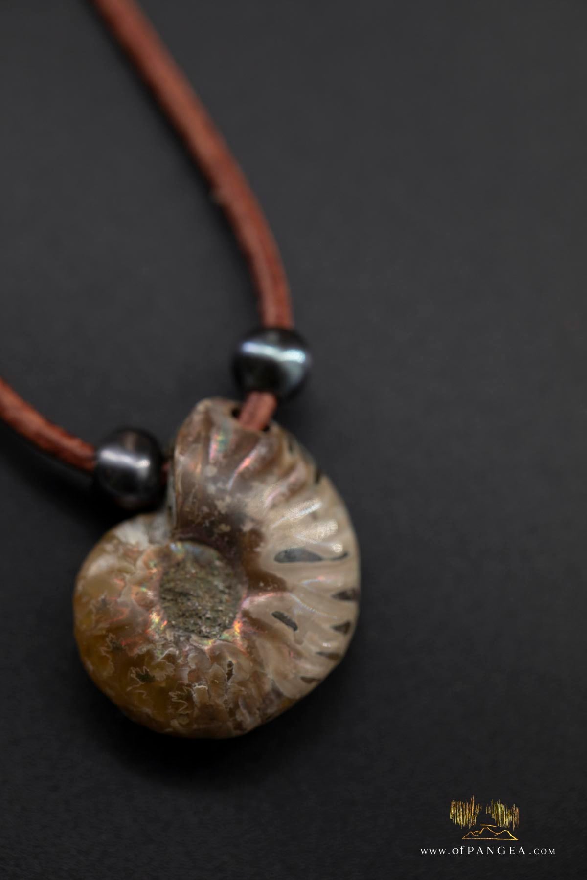Opalized Ammonite Spiral Shell fossil - AAA Peacock Pearls - italian leather necklace || JF688