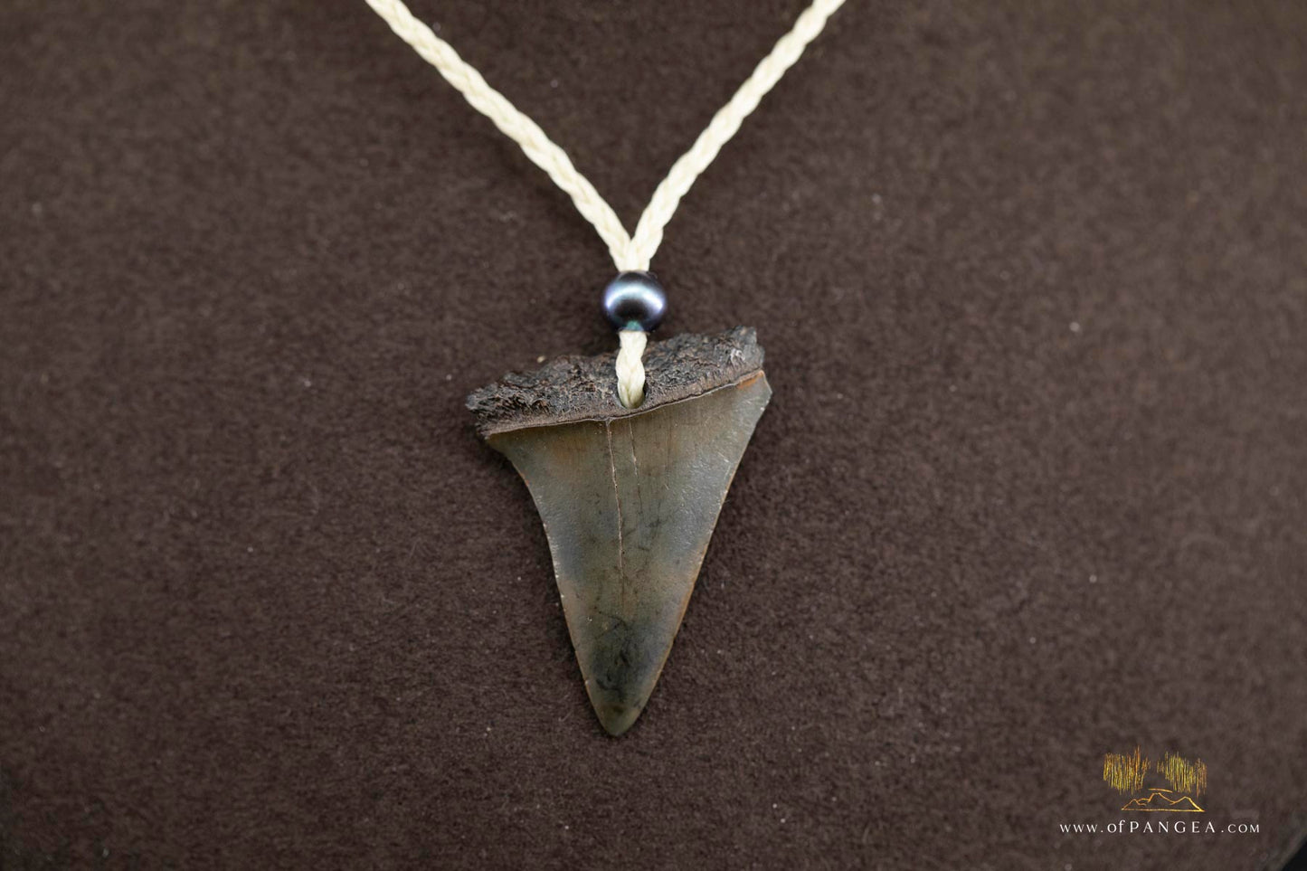Fossilized Mako Shark Tooth & AAA Peacock Pearl - Necklace || JF690