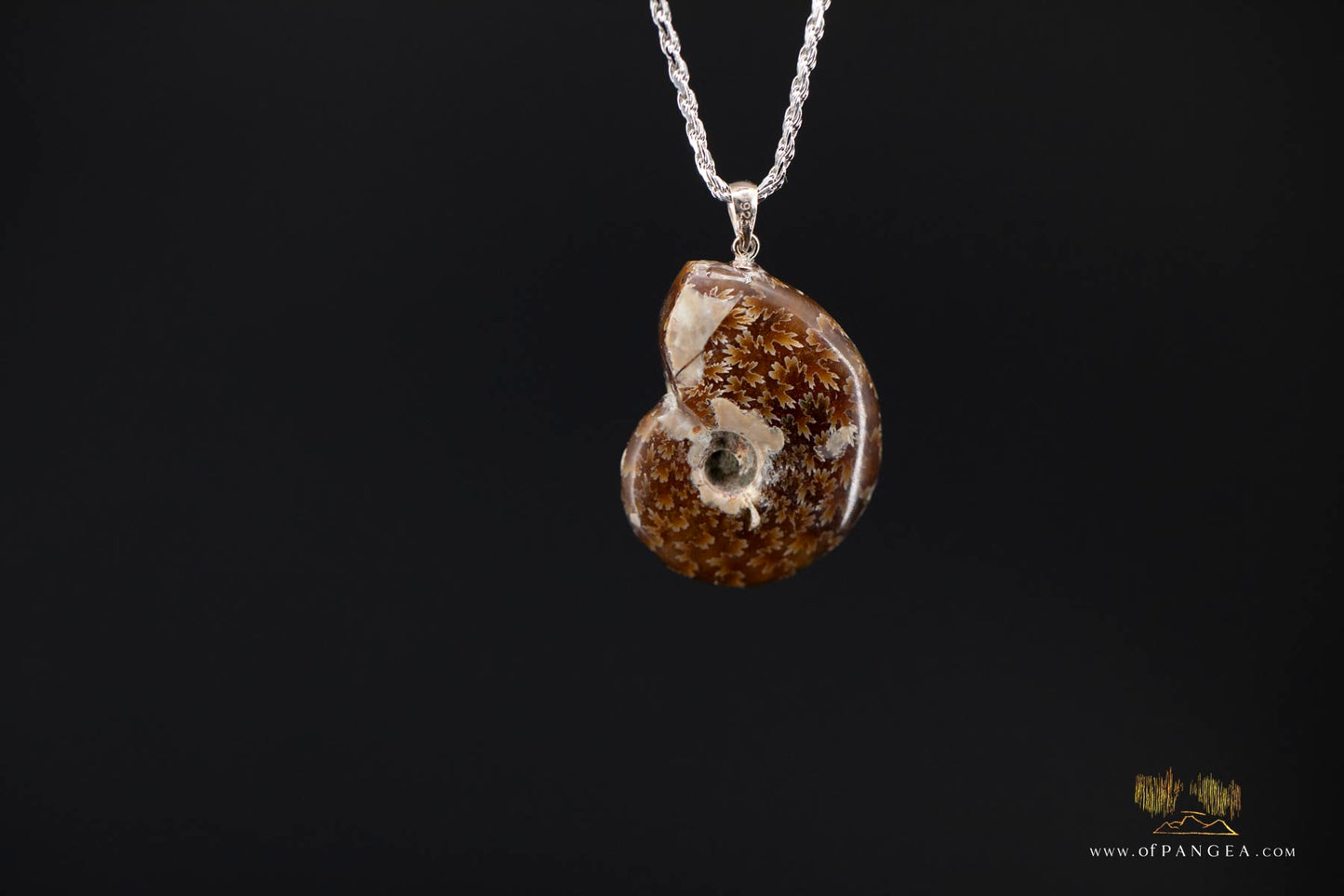 Agate Per-mineralized Full Ammonite Fossil Necklace - 0.925 Italian Sterling Silver rope Chain 18inch || JF691