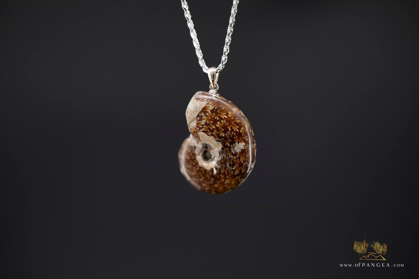 Agate Per-mineralized Full Ammonite Fossil Necklace - 0.925 Italian Sterling Silver rope Chain 18inch || JF691