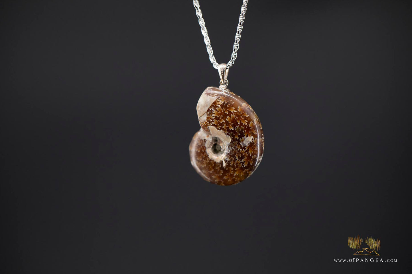 Agate Per-mineralized Full Ammonite Fossil Necklace - 0.925 Italian Sterling Silver rope Chain 18inch || JF691