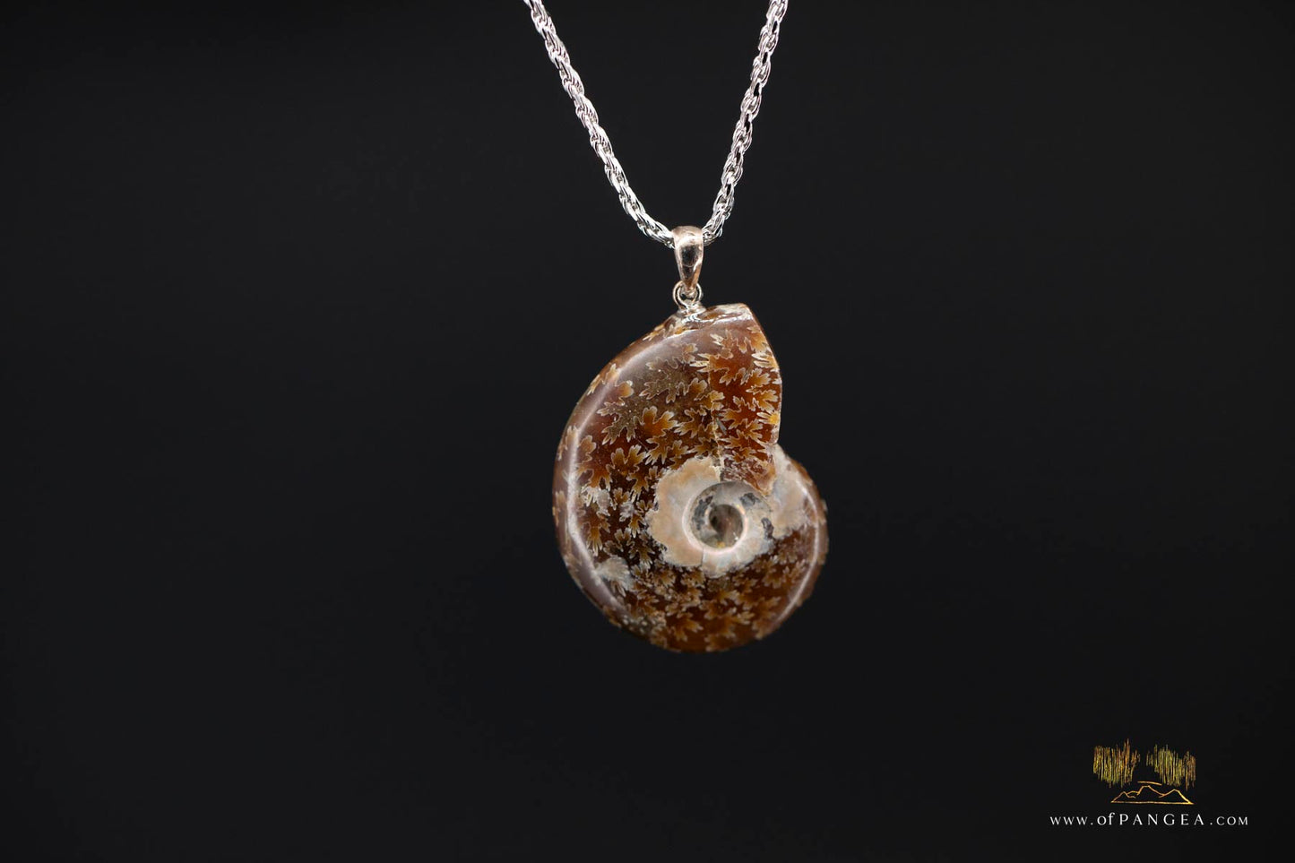 Agate Per-mineralized Full Ammonite Fossil Necklace - 0.925 Italian Sterling Silver rope Chain 18inch || JF691