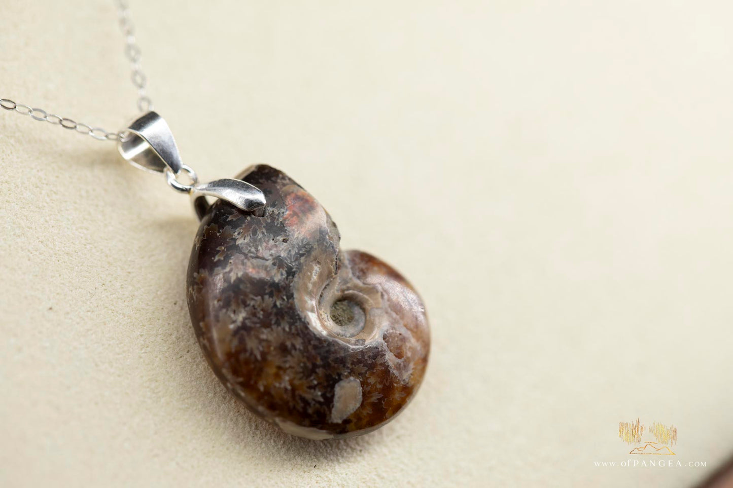 Per-mineralized Ammonite necklace whole - 18 inch dainty sterling silver chain || JF692