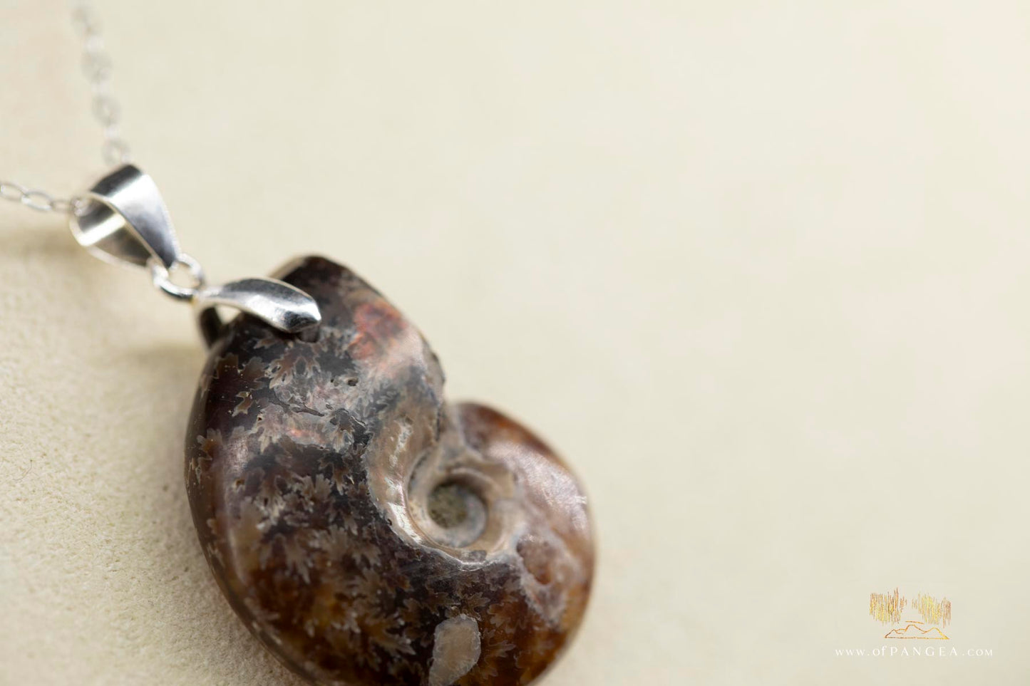 Per-mineralized Ammonite necklace whole - 18 inch dainty sterling silver chain || JF692