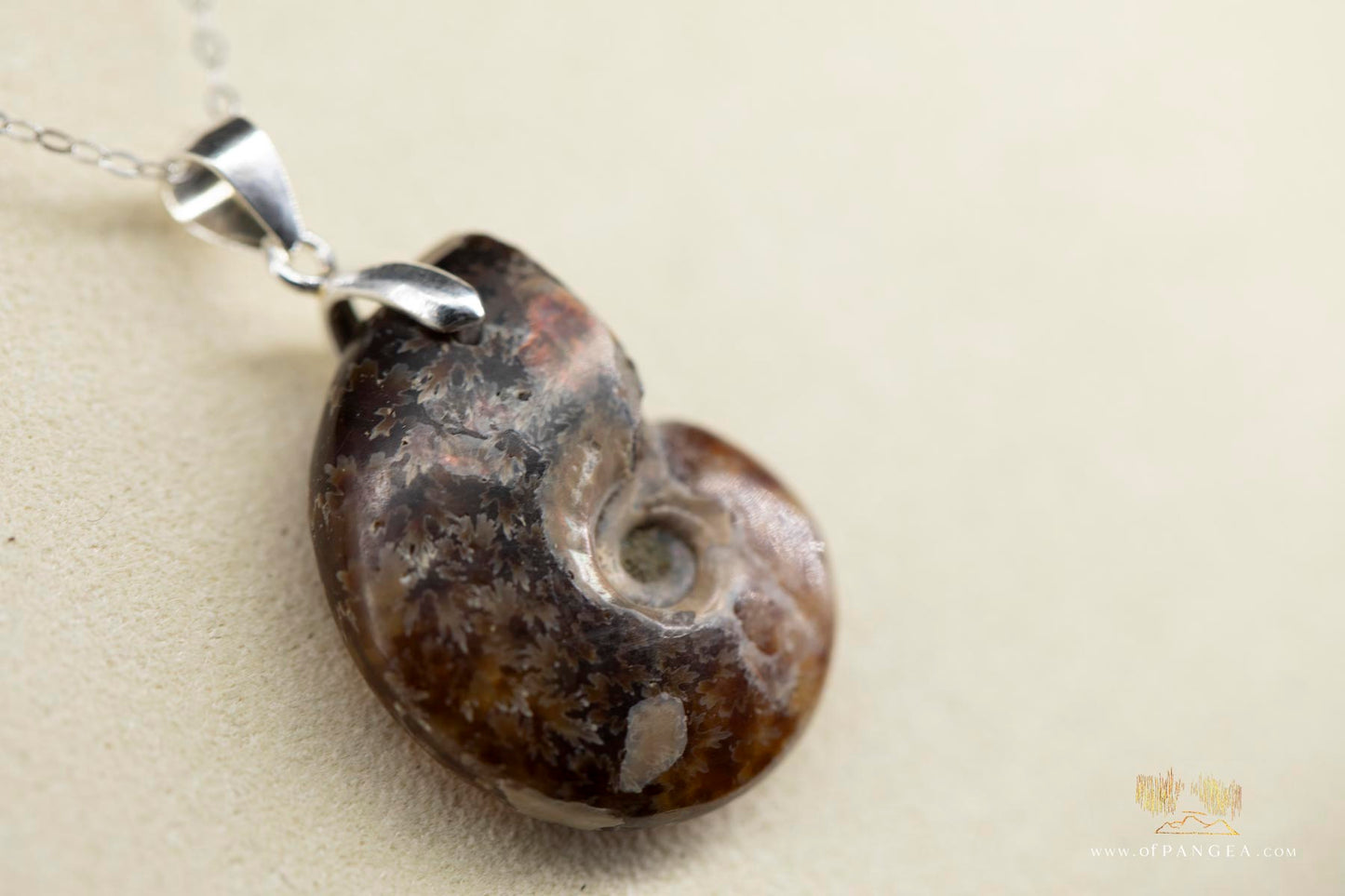 Per-mineralized Ammonite necklace whole - 18 inch dainty sterling silver chain || JF692