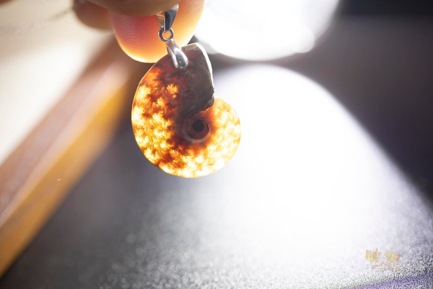 Per-mineralized Ammonite necklace whole - 18 inch dainty sterling silver chain || JF692