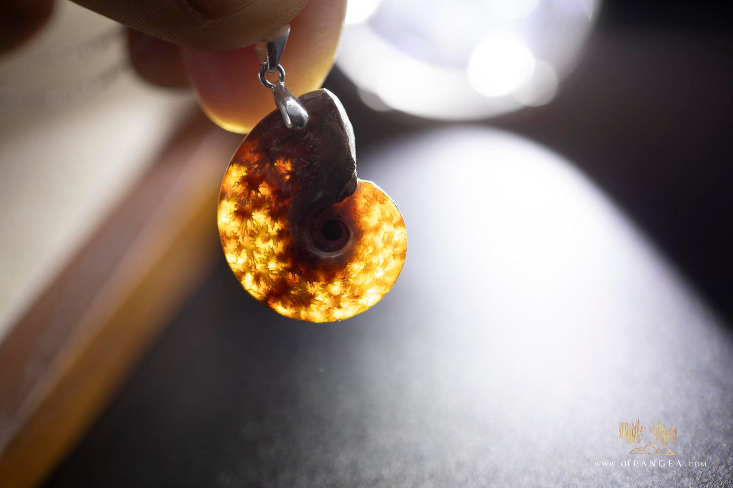 Per-mineralized Ammonite necklace whole - 18 inch dainty sterling silver chain || JF692