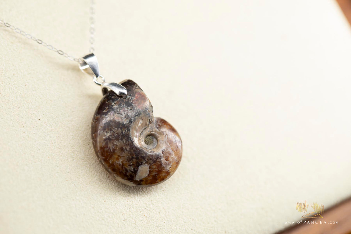 Per-mineralized Ammonite necklace whole - 18 inch dainty sterling silver chain || JF692