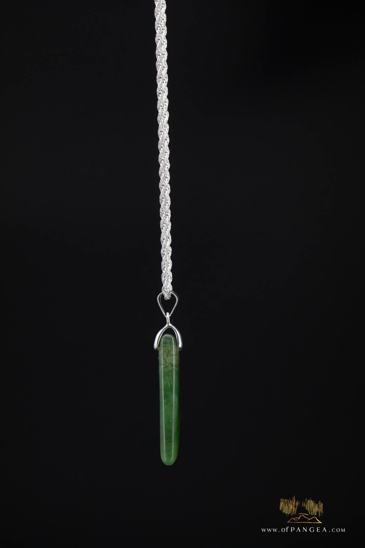 British Columbian Green Flower Nephrite Jade Necklace - Italian sterling silver rope chain || JF699