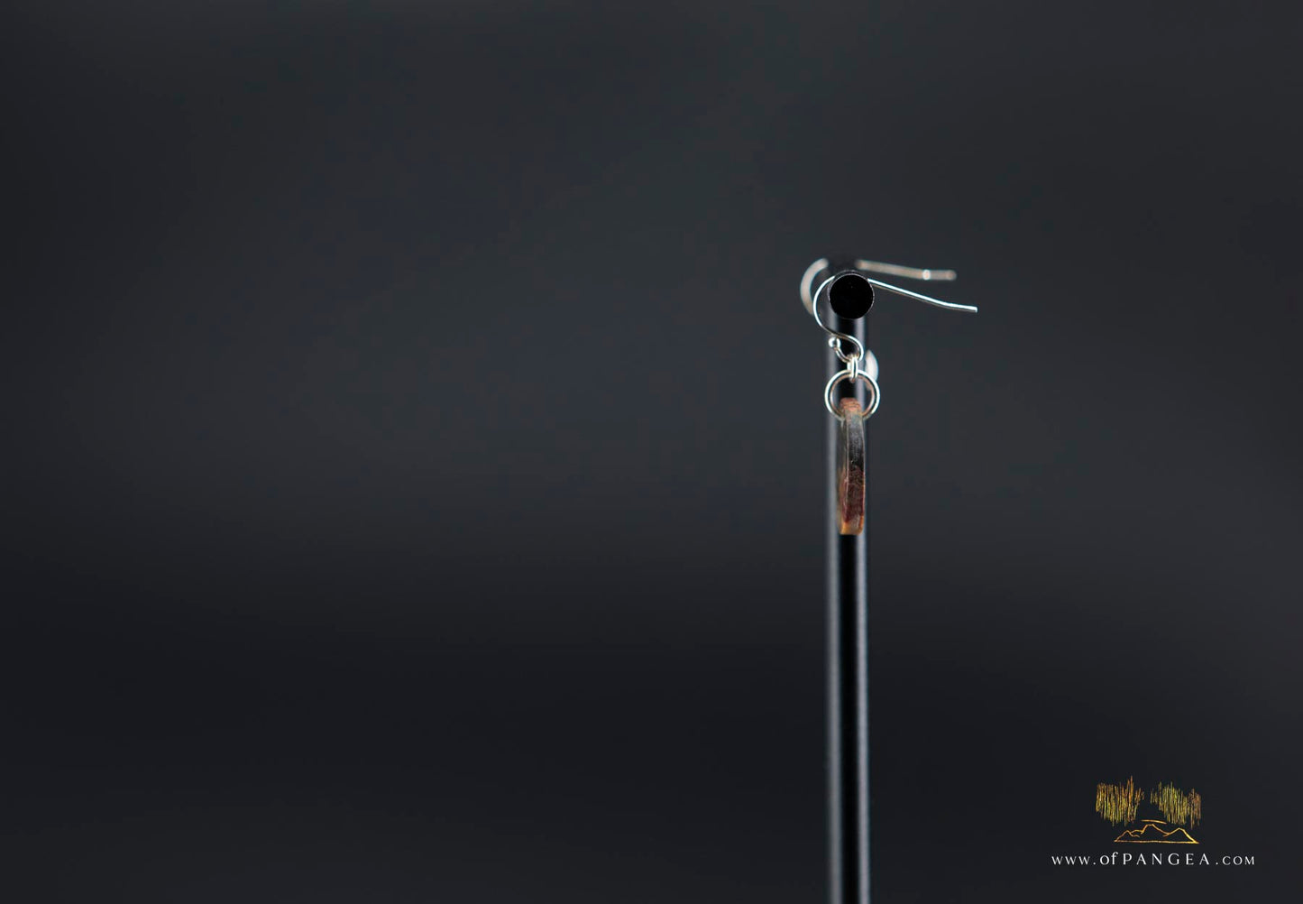 Picasso Jasper discus earrings (Red Creek) - Sterling Silver