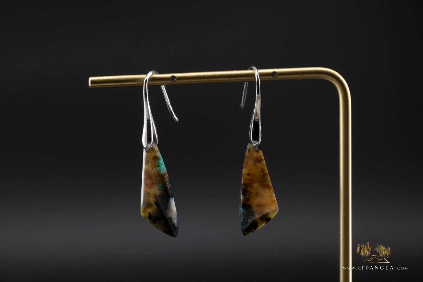 Petrified Wood Earrings - Opalized - Sterling Silver