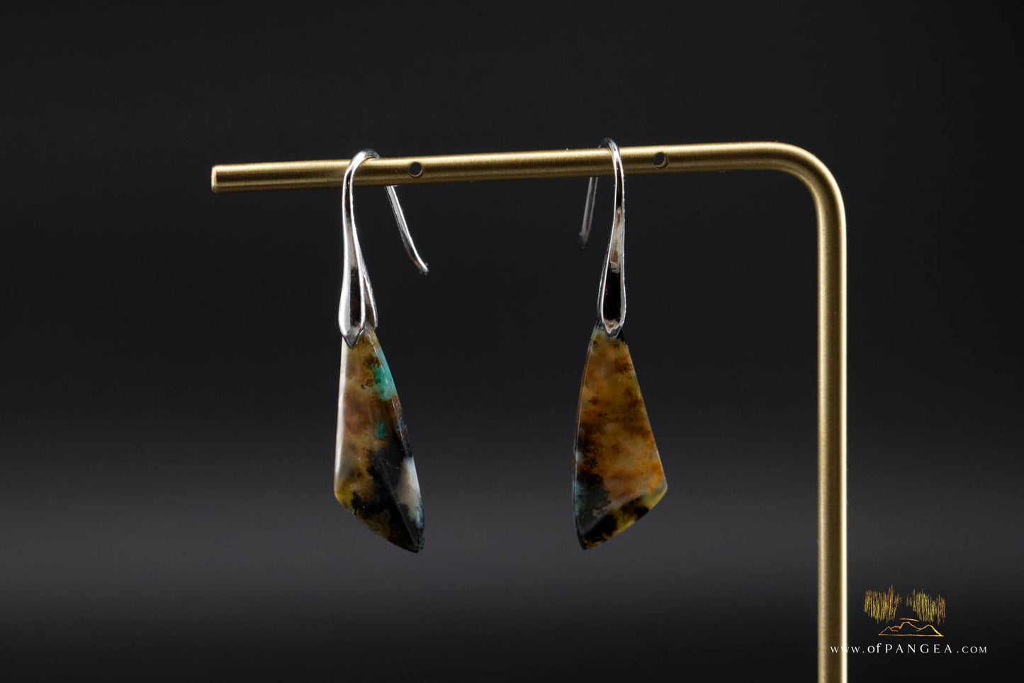 Petrified Wood Earrings - Opalized - Sterling Silver
