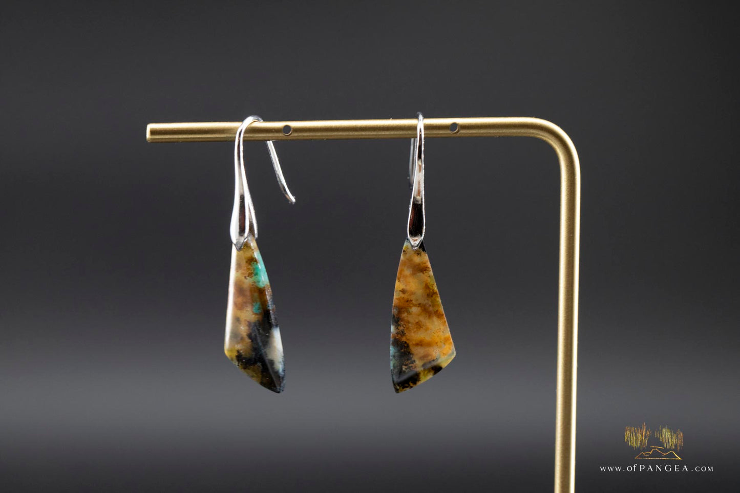 Petrified Wood Earrings - Opalized - Sterling Silver