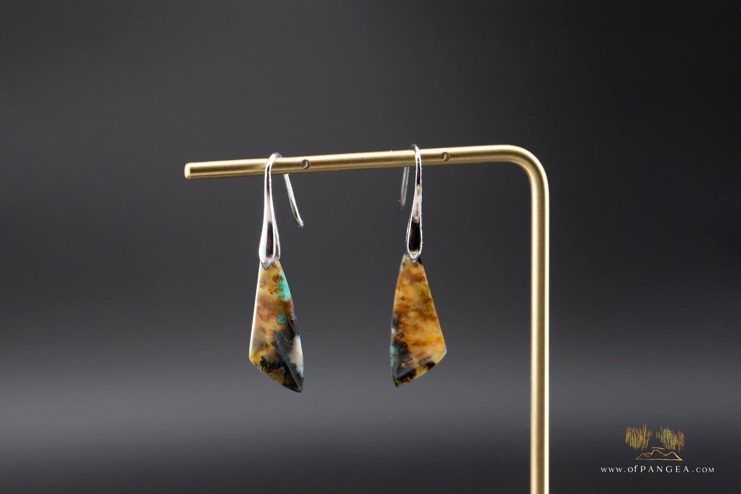 Petrified Wood Earrings - Opalized - Sterling Silver